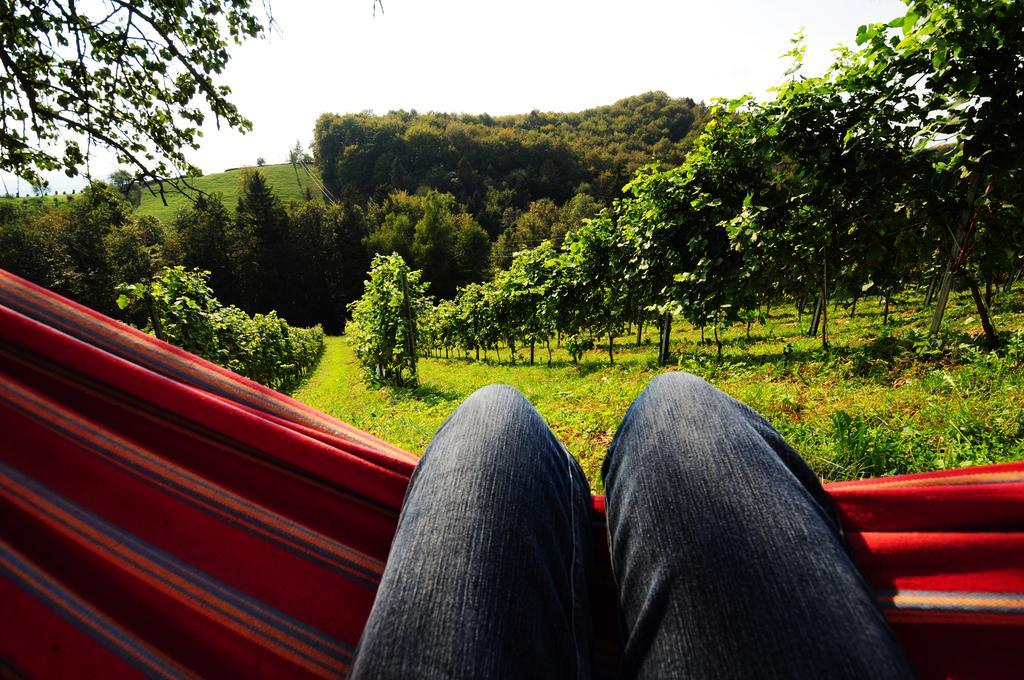 ליוצכאך Weingut Winzerzimmer Rothschaedl מראה חיצוני תמונה