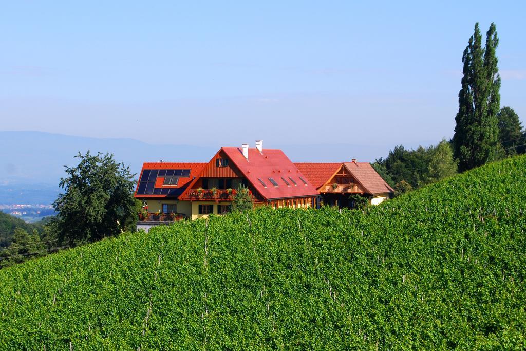 ליוצכאך Weingut Winzerzimmer Rothschaedl מראה חיצוני תמונה