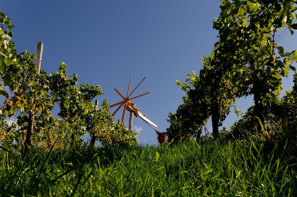 ליוצכאך Weingut Winzerzimmer Rothschaedl מראה חיצוני תמונה