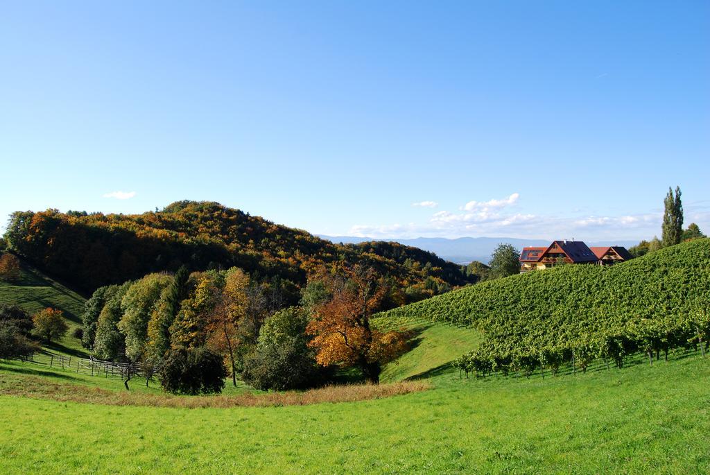 ליוצכאך Weingut Winzerzimmer Rothschaedl מראה חיצוני תמונה